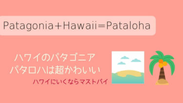 【日本よりもお買い得！】ハワイで限定パタゴニア製品をゲット。パタロハって知ってる？