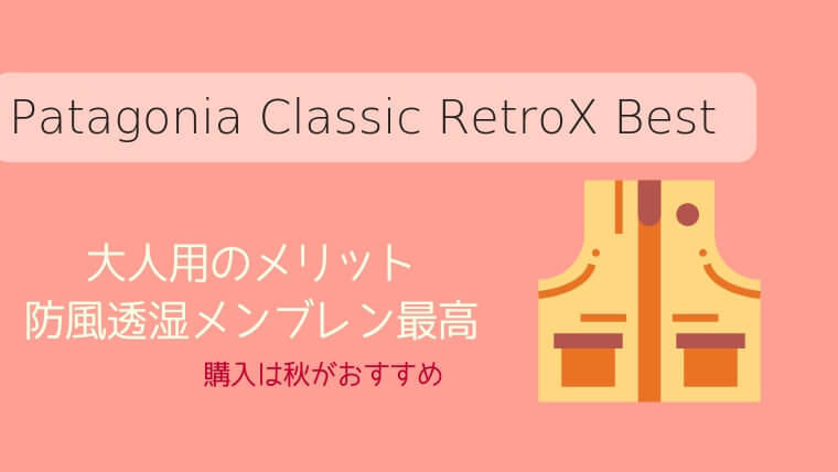 【HOT在庫】パタゴニア patagonia レトロX ベスト サイズＳ（アジアM） トップス